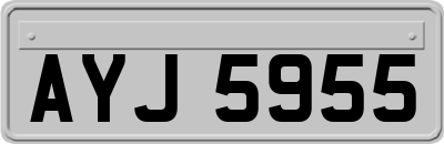 AYJ5955
