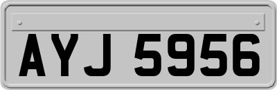 AYJ5956