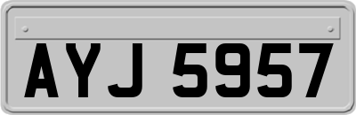 AYJ5957