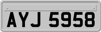 AYJ5958