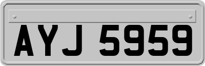 AYJ5959