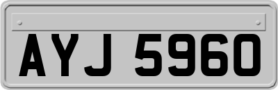 AYJ5960