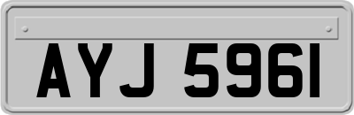 AYJ5961
