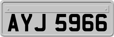 AYJ5966