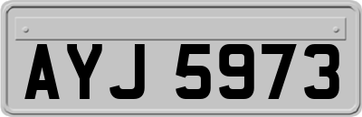 AYJ5973