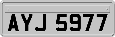 AYJ5977