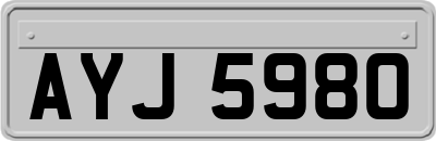 AYJ5980