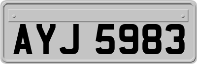 AYJ5983
