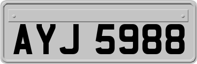 AYJ5988