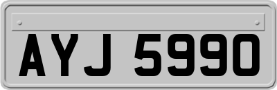 AYJ5990
