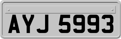 AYJ5993