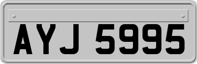 AYJ5995