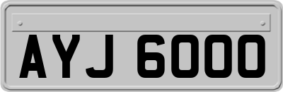 AYJ6000