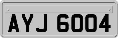 AYJ6004