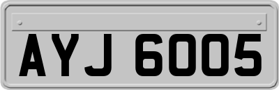 AYJ6005