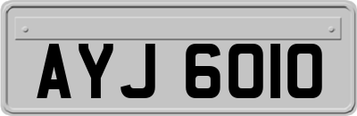 AYJ6010