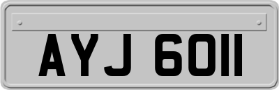 AYJ6011