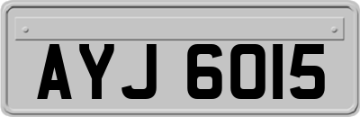 AYJ6015