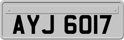 AYJ6017