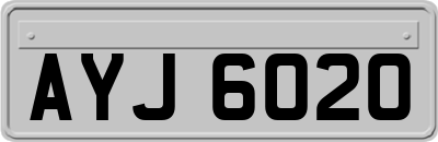 AYJ6020