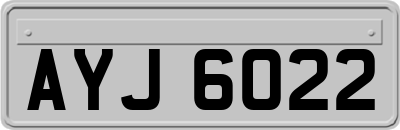 AYJ6022
