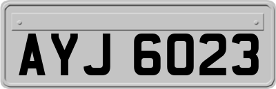 AYJ6023