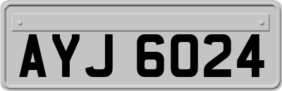 AYJ6024