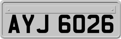 AYJ6026