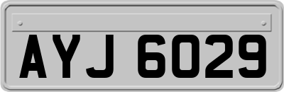 AYJ6029