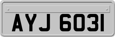 AYJ6031