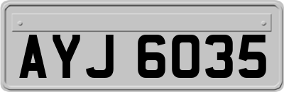 AYJ6035
