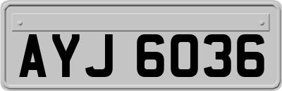 AYJ6036