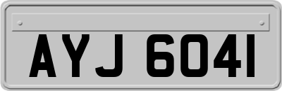 AYJ6041
