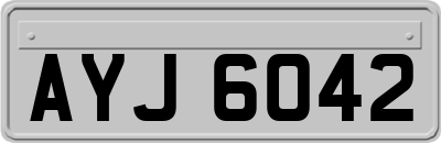 AYJ6042