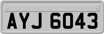 AYJ6043