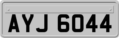 AYJ6044