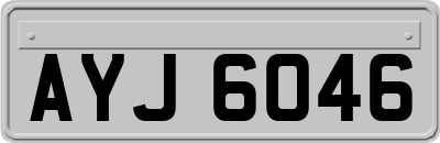 AYJ6046