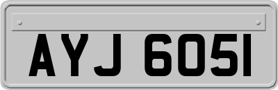 AYJ6051