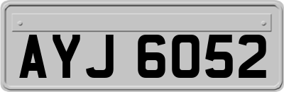AYJ6052