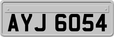 AYJ6054