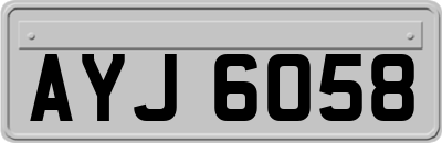 AYJ6058
