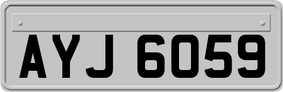 AYJ6059