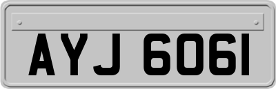 AYJ6061