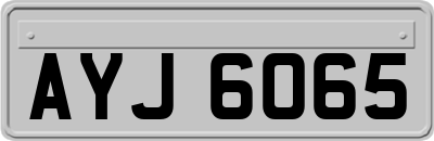 AYJ6065