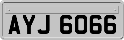 AYJ6066