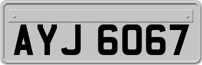 AYJ6067