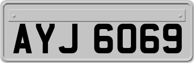 AYJ6069