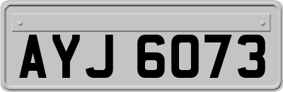 AYJ6073