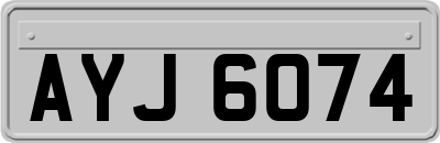 AYJ6074