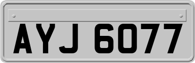 AYJ6077